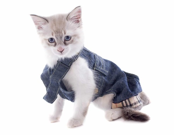 Style vestimentaire : comment adopter look de salopette dans son habillement ?
