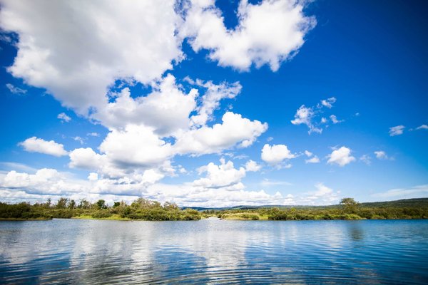 Comment mettre en place un système de récupération de la chaleur des eaux usées pour le chauffage des serres ?